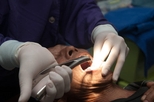 Emergency Dental Kit with real extractors and elevator instruments