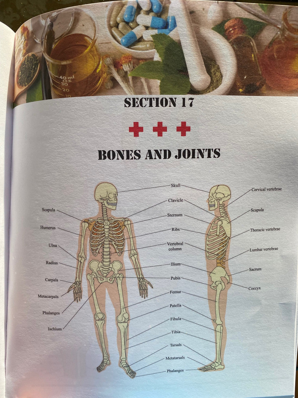 The Survival Medicine Handbook color version image, bones in the body